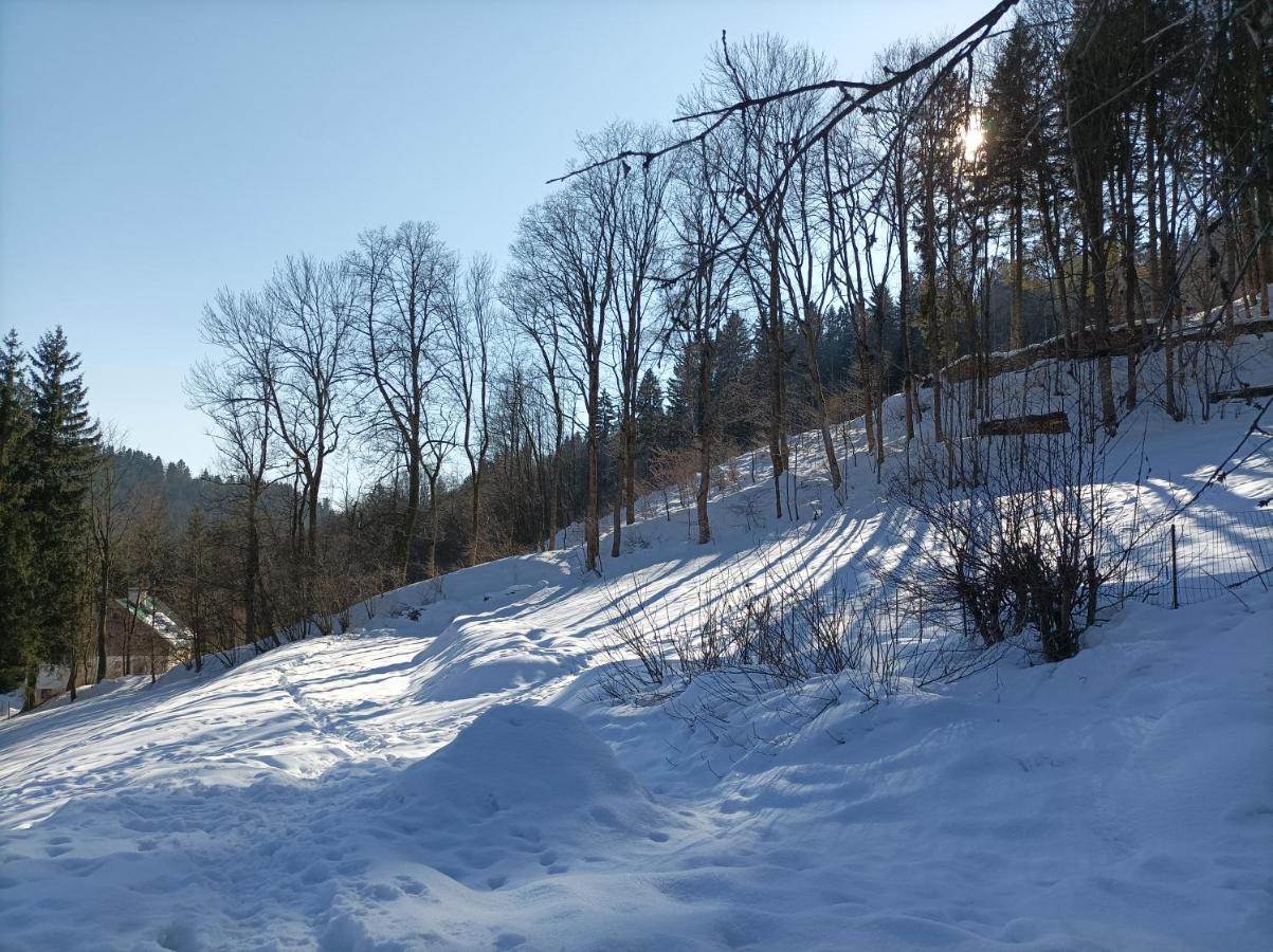 Pension Doro Черный Дул Экстерьер фото